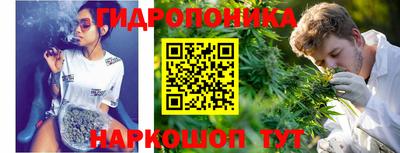 крисы Краснознаменск